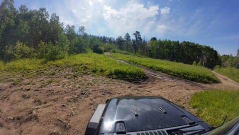 Green season on a Colorado trail