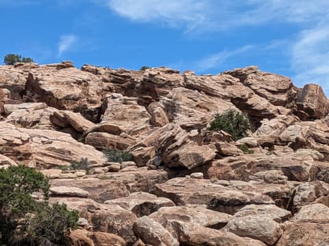 Picking through the rocks